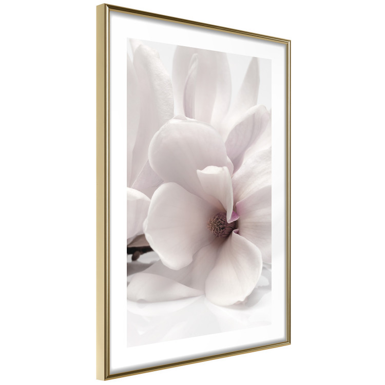 Wall Poster Blooming Light - floral composition of a white flower on a bright background 134983 additionalImage 7