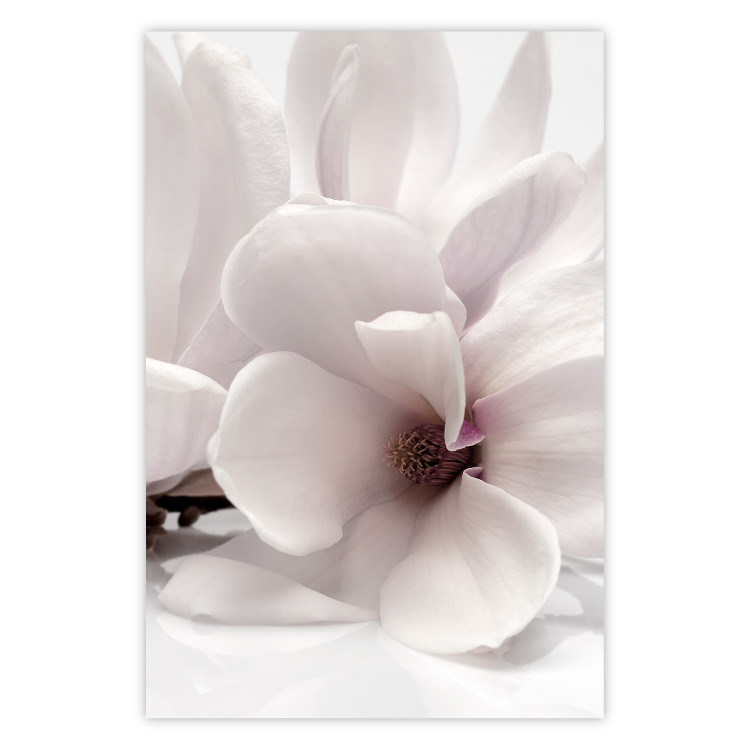 Wall Poster Blooming Light - floral composition of a white flower on a bright background 134983