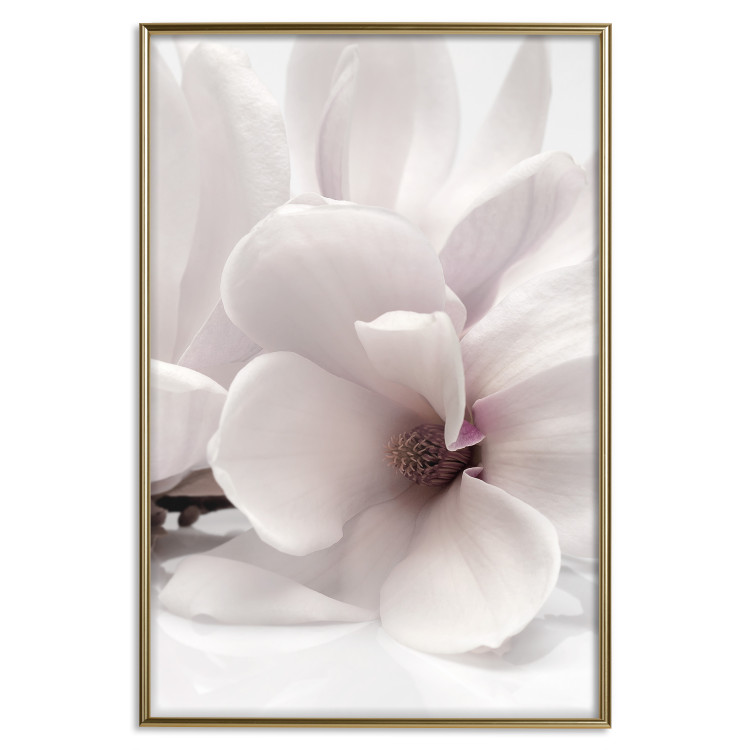 Wall Poster Blooming Light - floral composition of a white flower on a bright background 134983 additionalImage 17