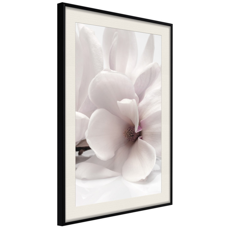 Wall Poster Blooming Light - floral composition of a white flower on a bright background 134983 additionalImage 2