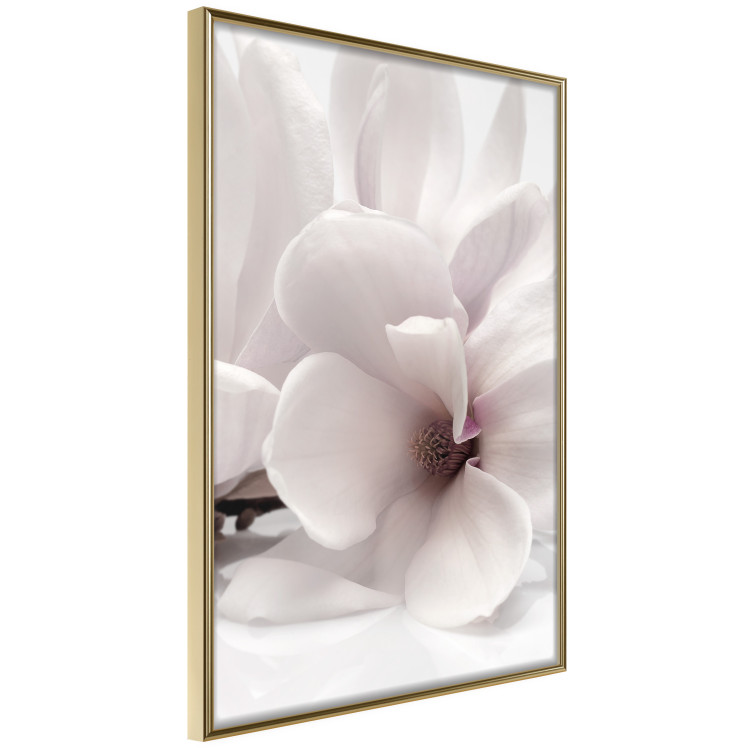Wall Poster Blooming Light - floral composition of a white flower on a bright background 134983 additionalImage 14
