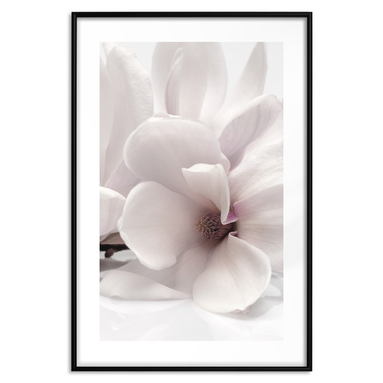 Wall Poster Blooming Light - floral composition of a white flower on a bright background 134983 additionalImage 15