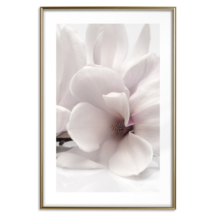 Wall Poster Blooming Light - floral composition of a white flower on a bright background 134983 additionalImage 14