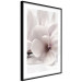 Wall Poster Blooming Light - floral composition of a white flower on a bright background 134983 additionalThumb 8