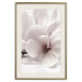 Wall Poster Blooming Light - floral composition of a white flower on a bright background 134983 additionalThumb 20
