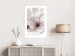 Wall Poster Blooming Light - floral composition of a white flower on a bright background 134983 additionalThumb 3