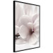 Wall Poster Blooming Light - floral composition of a white flower on a bright background 134983 additionalThumb 13