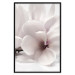Wall Poster Blooming Light - floral composition of a white flower on a bright background 134983 additionalThumb 18