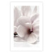Wall Poster Blooming Light - floral composition of a white flower on a bright background 134983 additionalThumb 25