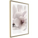 Wall Poster Blooming Light - floral composition of a white flower on a bright background 134983 additionalThumb 9