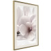 Wall Poster Blooming Light - floral composition of a white flower on a bright background 134983 additionalThumb 3