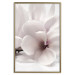 Wall Poster Blooming Light - floral composition of a white flower on a bright background 134983 additionalThumb 21