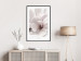 Wall Poster Blooming Light - floral composition of a white flower on a bright background 134983 additionalThumb 23
