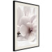 Wall Poster Blooming Light - floral composition of a white flower on a bright background 134983 additionalThumb 2