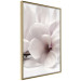 Wall Poster Blooming Light - floral composition of a white flower on a bright background 134983 additionalThumb 12