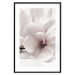 Wall Poster Blooming Light - floral composition of a white flower on a bright background 134983 additionalThumb 15