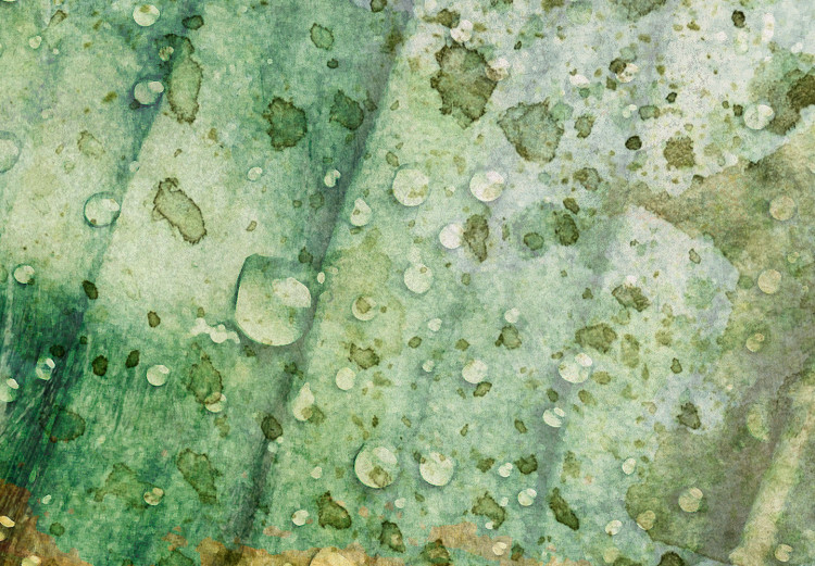 Canvas Art Print Rain drops on a leaf - Botanical theme in green color 135783 additionalImage 5