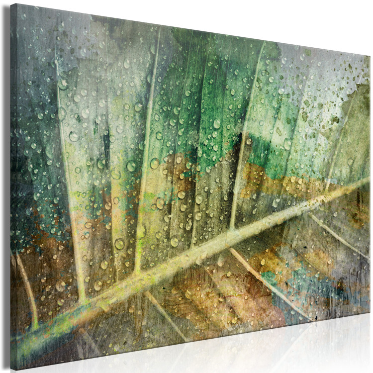 Canvas Art Print Rain drops on a leaf - Botanical theme in green color 135783 additionalImage 2