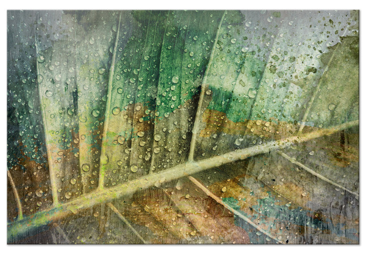 Canvas Art Print Rain drops on a leaf - Botanical theme in green color 135783