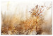 Canvas Art Print In the Autumn Sun (1 Part) Wide 138283