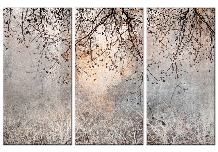 Canvas Print Morning - Sunrise Against a Background of Delicate Branches With Flowers 151783