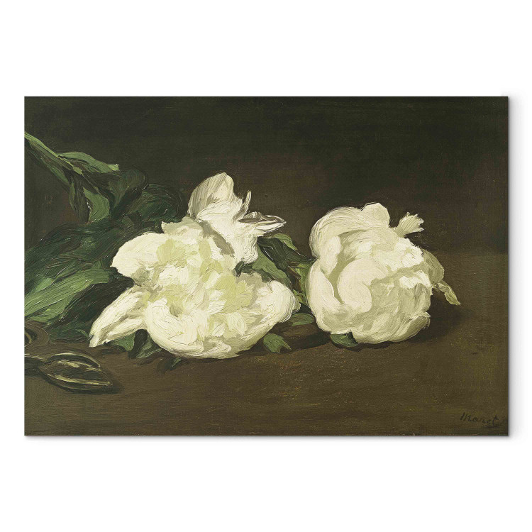 Art Reproduction Branch of White Peonies and Secateurs 155183