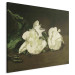 Art Reproduction Branch of White Peonies and Secateurs 155183 additionalThumb 2