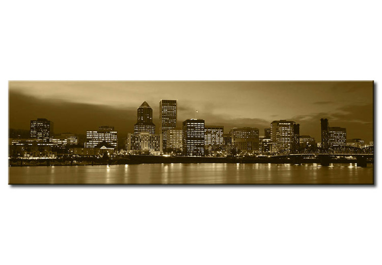 Canvas Art Print View of Chicago by Michigan lake 50583