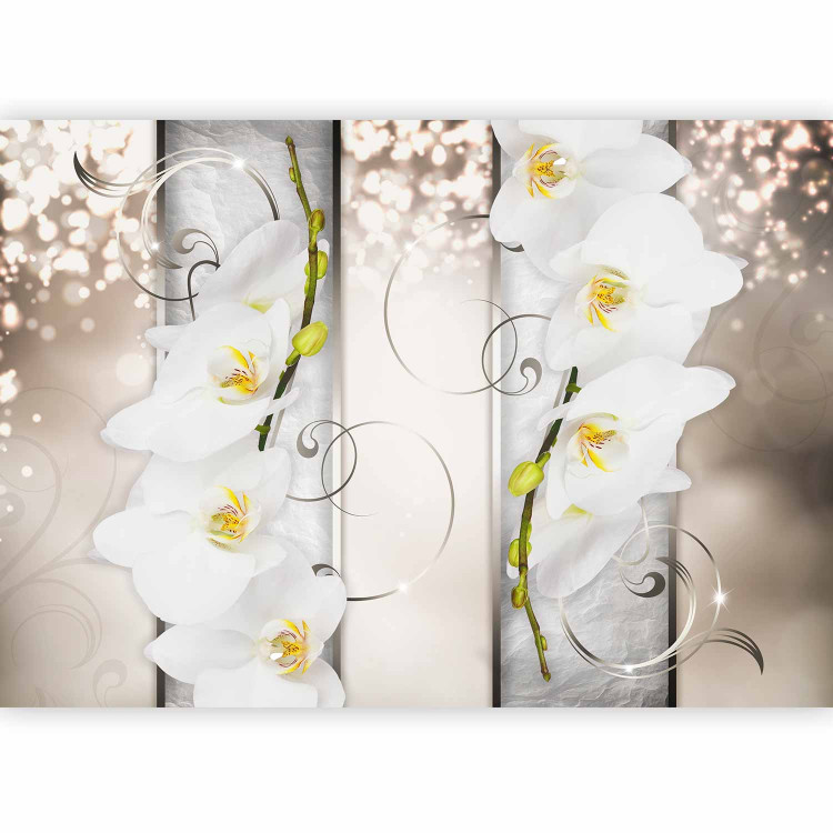 Wall Mural Elegant Flowers - Abstraction with White Orchids on a Patterned Background 60183 additionalImage 1