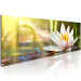 Canvas Print Lotus' Glow 93083 additionalThumb 2