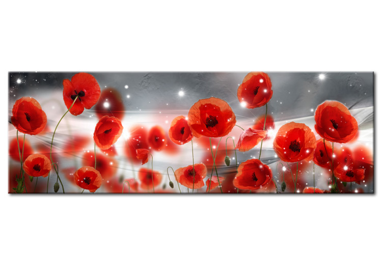 Canvas Star Poppies (1-part) - red field flowers in the starlight 94783