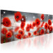 Canvas Star Poppies (1-part) - red field flowers in the starlight 94783 additionalThumb 2
