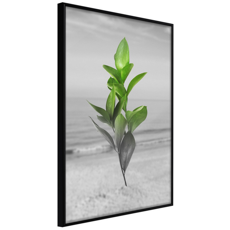 Wall Poster Green Branches - Living leaves on a background of a gray seascape 114393 additionalImage 10