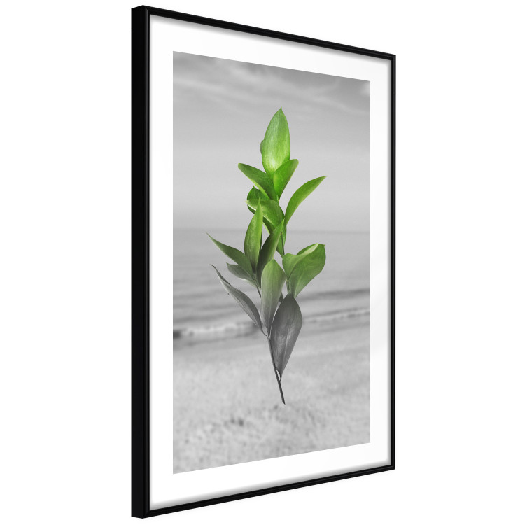 Wall Poster Green Branches - Living leaves on a background of a gray seascape 114393 additionalImage 11