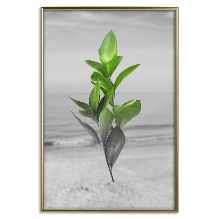 Wall Poster Green Branches - Living leaves on a background of a gray seascape 114393 additionalImage 16