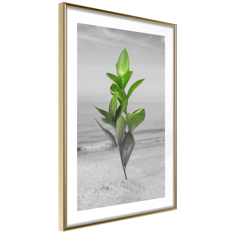 Wall Poster Green Branches - Living leaves on a background of a gray seascape 114393 additionalImage 8