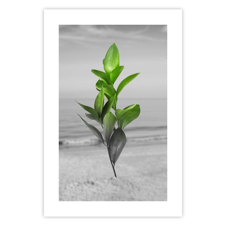 Wall Poster Green Branches - Living leaves on a background of a gray seascape 114393 additionalImage 25