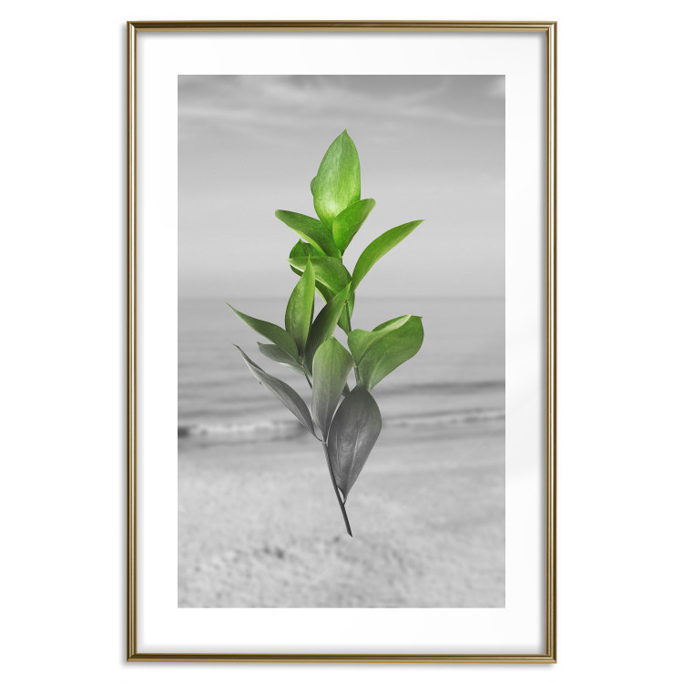 Wall Poster Green Branches - Living leaves on a background of a gray seascape 114393 additionalImage 14