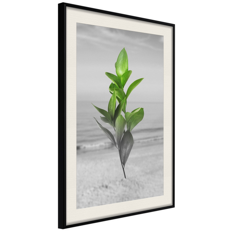 Wall Poster Green Branches - Living leaves on a background of a gray seascape 114393 additionalImage 3