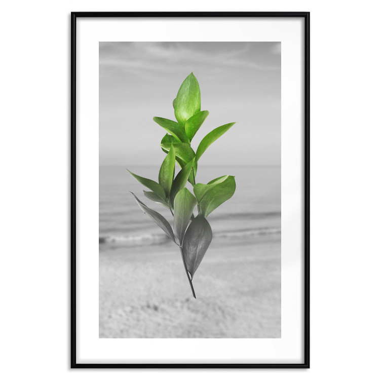 Wall Poster Green Branches - Living leaves on a background of a gray seascape 114393 additionalImage 15
