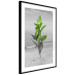 Wall Poster Green Branches - Living leaves on a background of a gray seascape 114393 additionalThumb 11