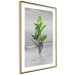Wall Poster Green Branches - Living leaves on a background of a gray seascape 114393 additionalThumb 6