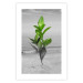 Wall Poster Green Branches - Living leaves on a background of a gray seascape 114393 additionalThumb 25