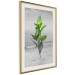 Wall Poster Green Branches - Living leaves on a background of a gray seascape 114393 additionalThumb 2