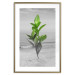Wall Poster Green Branches - Living leaves on a background of a gray seascape 114393 additionalThumb 14
