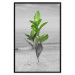 Wall Poster Green Branches - Living leaves on a background of a gray seascape 114393 additionalThumb 18