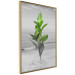 Wall Poster Green Branches - Living leaves on a background of a gray seascape 114393 additionalThumb 12