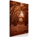 Canvas Art Print Corridor of trees - autumn forest path covered with leaves 123893 additionalThumb 2