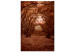 Canvas Art Print Corridor of trees - autumn forest path covered with leaves 123893