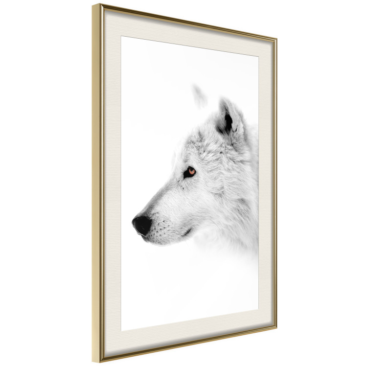 Wall Poster Amber Gaze - portrait of a wolf with a yellow eye on a white background 126293 additionalImage 3
